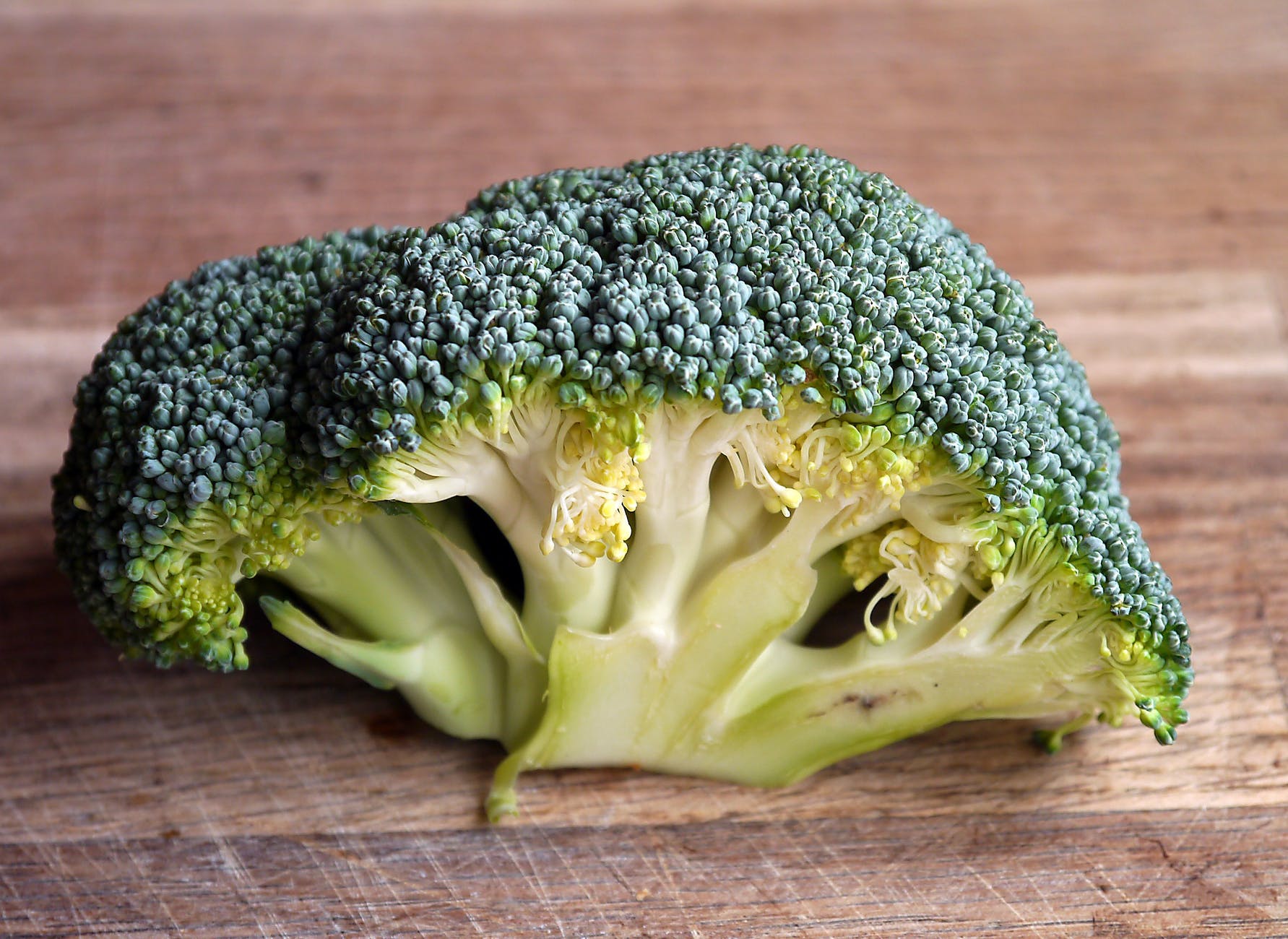 broccoli-vegetable-food-healthy-47347 broccoli-vegetable-food-healthy-47347