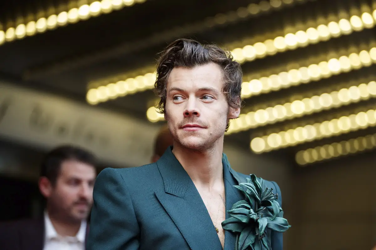 harry styles harry styles