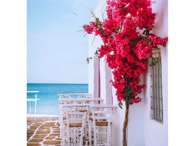 paros