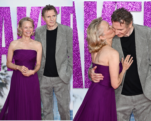 pamela anderson liam neeson