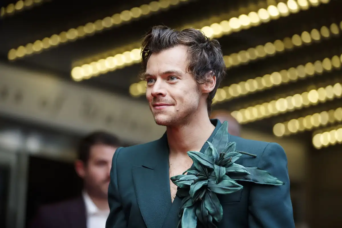 harry styles harry styles