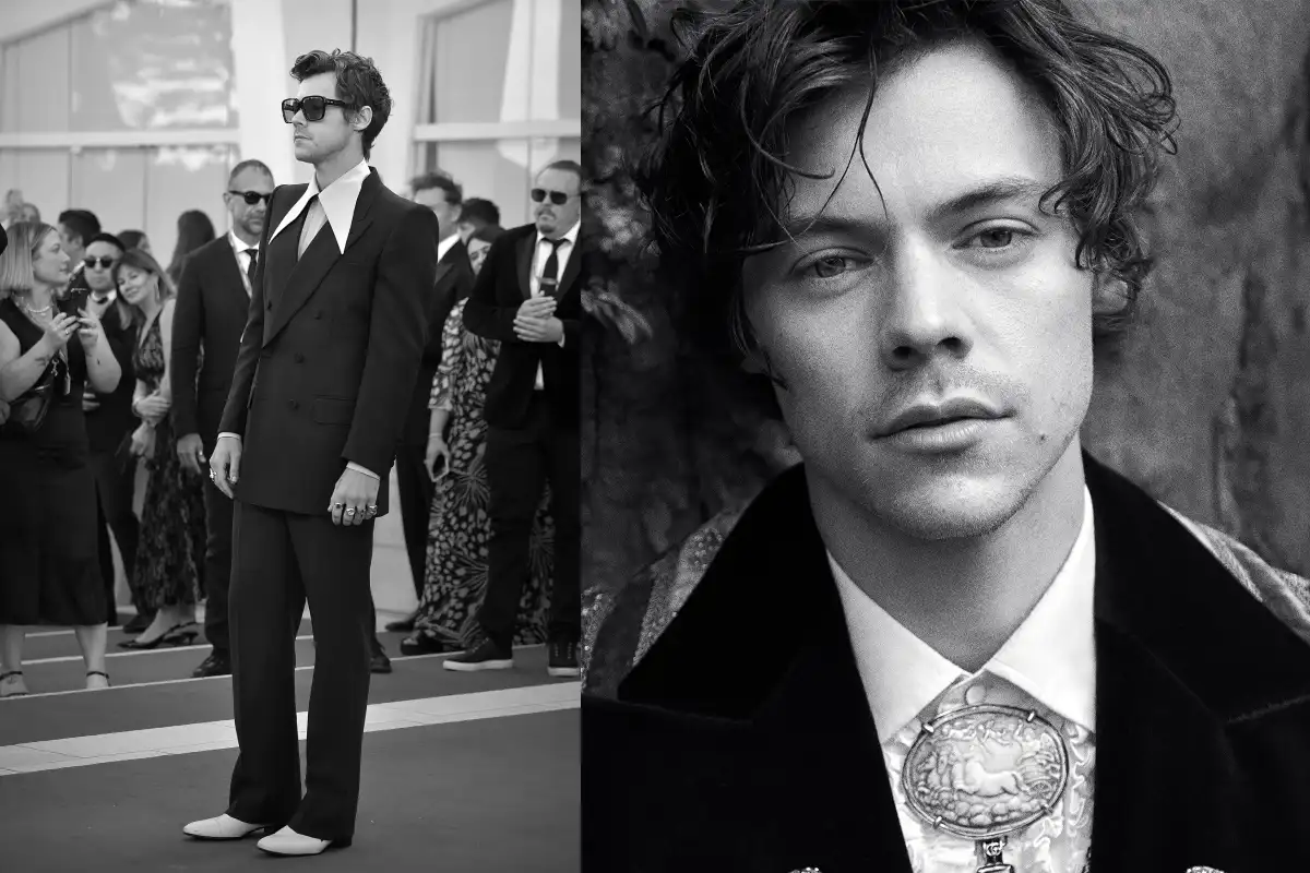 harry styles