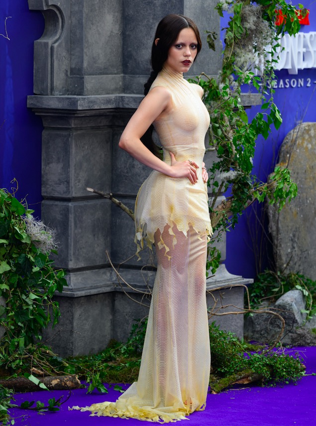 Cinci tendințe care au făcut furori în 2025