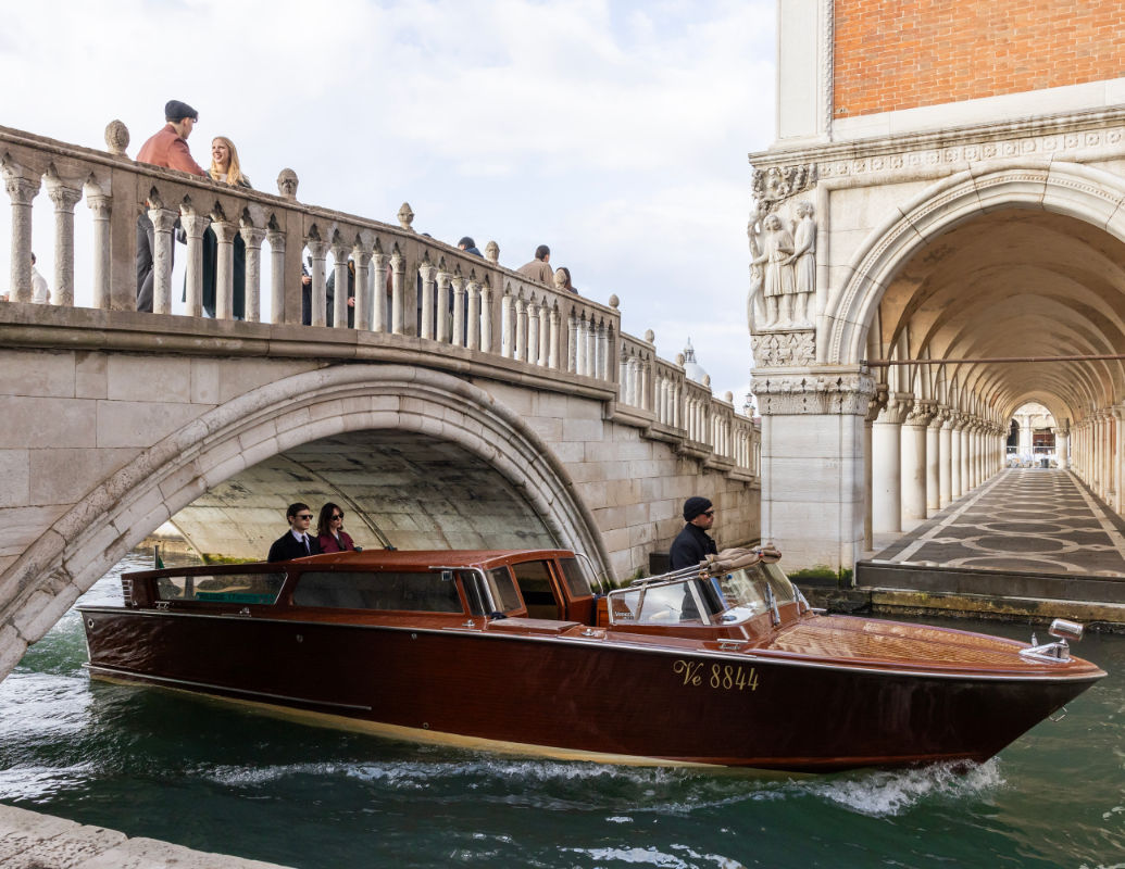 frumusetea - the beauty