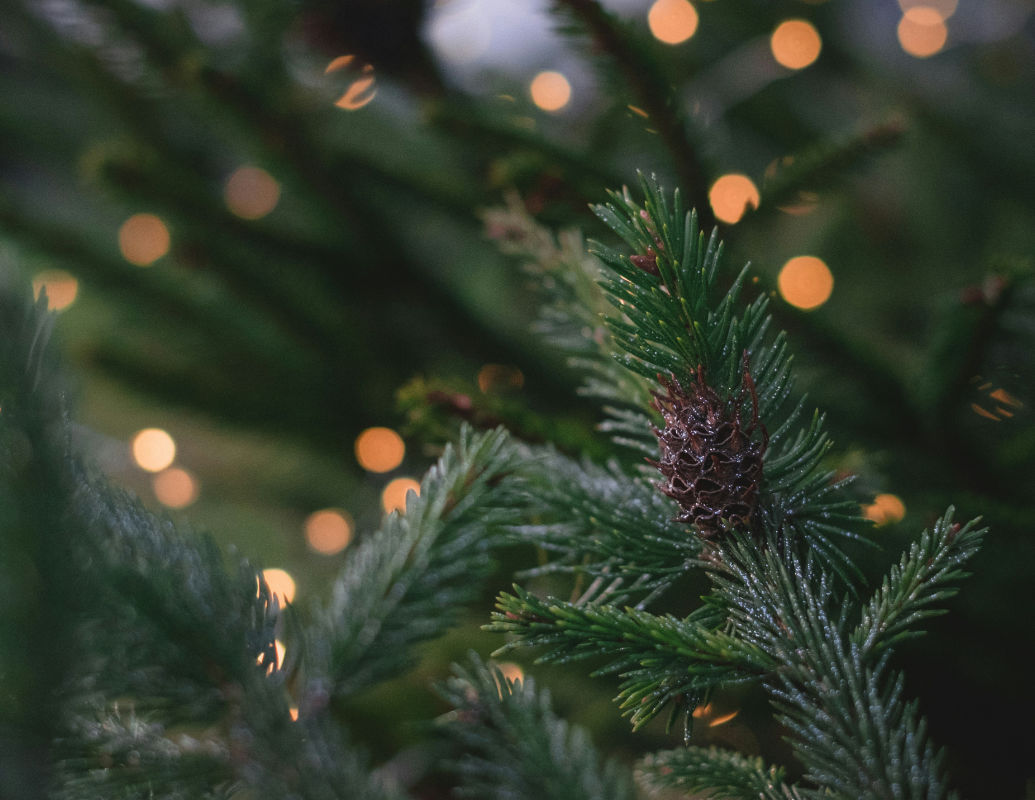 horoscop decembrie 2025