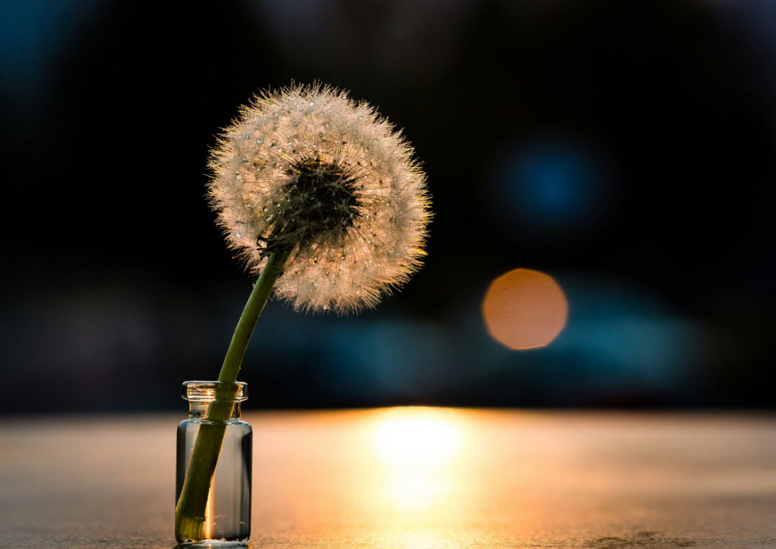 horoscopul lunii februarie