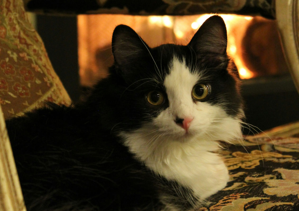 horoscopul saptamanii