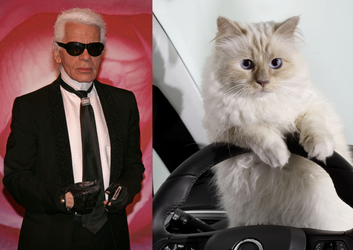karl lagerfeld mostenire