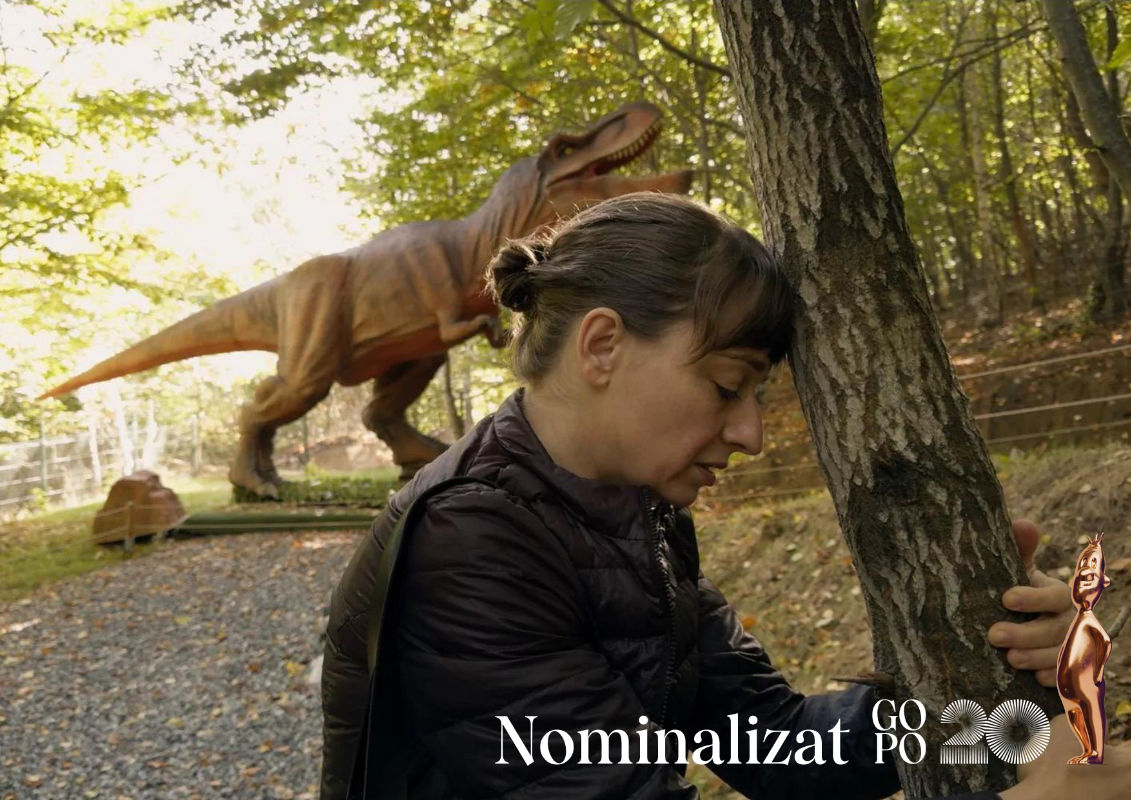 gopo 2026 nominalizari