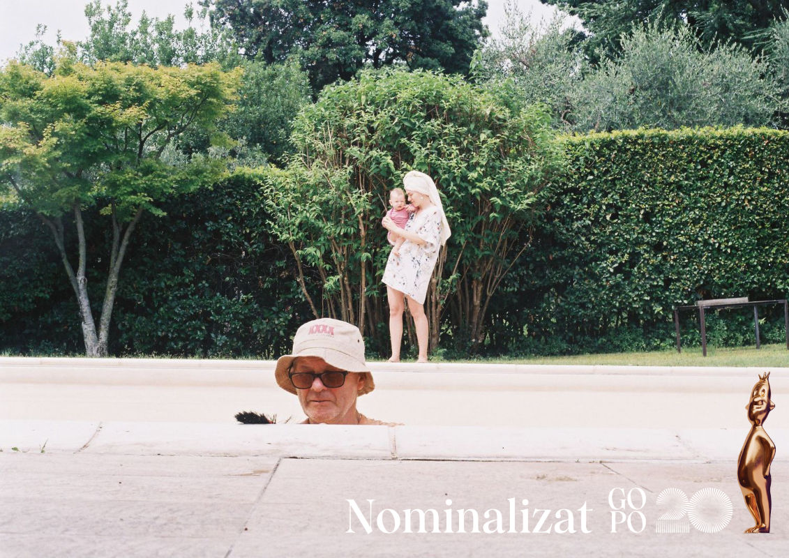 gopo 2026 nominalizari