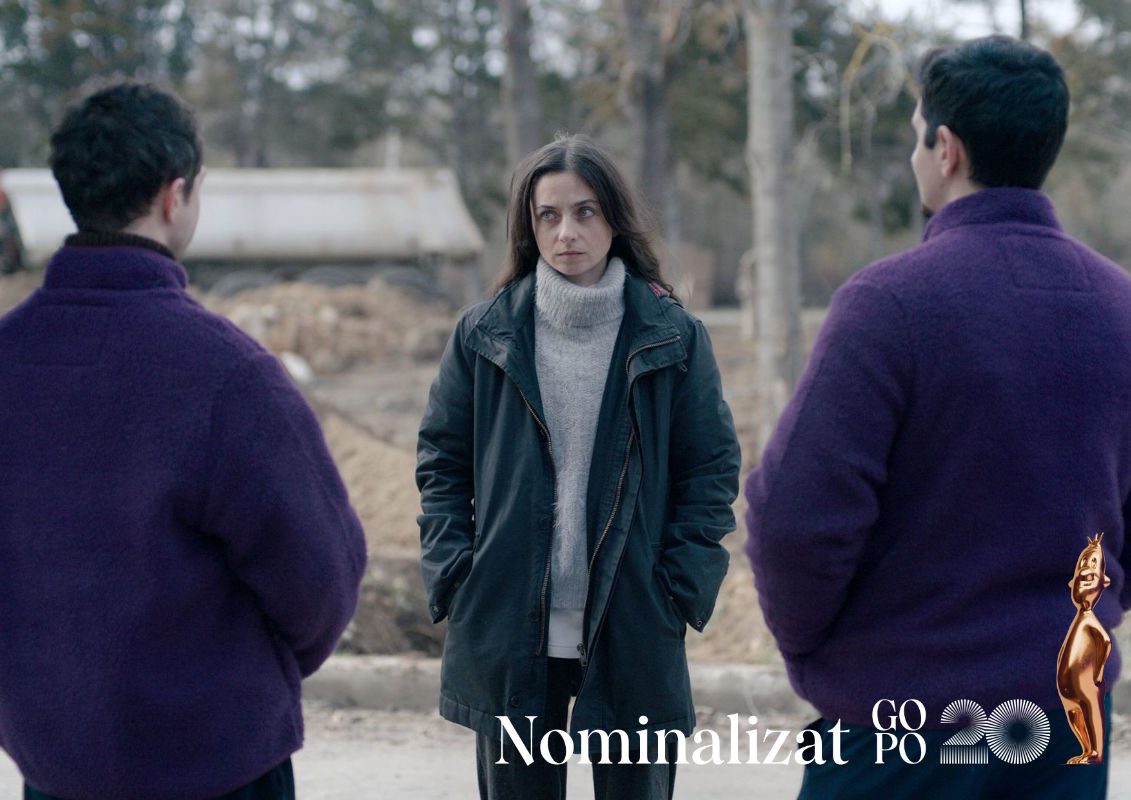 gopo 2026 nominalizari