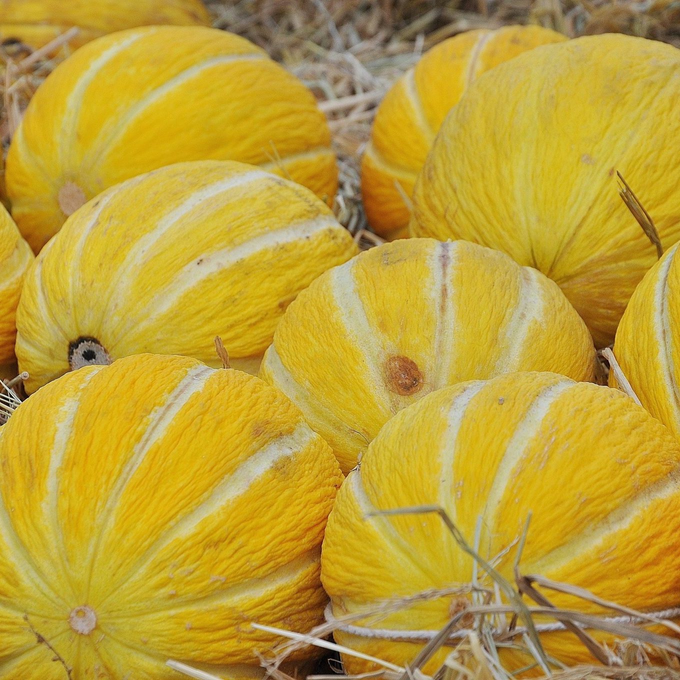 background-food-fresh-fruit-59970 background-food-fresh-fruit-59970